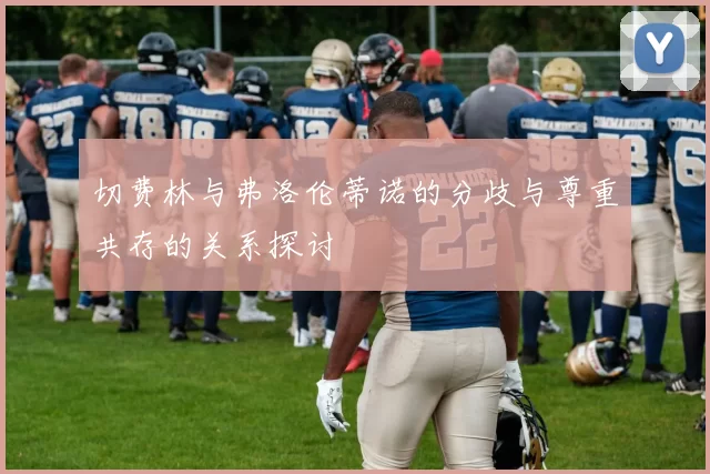切费林与弗洛伦蒂诺的分歧与尊重共存的关系探讨