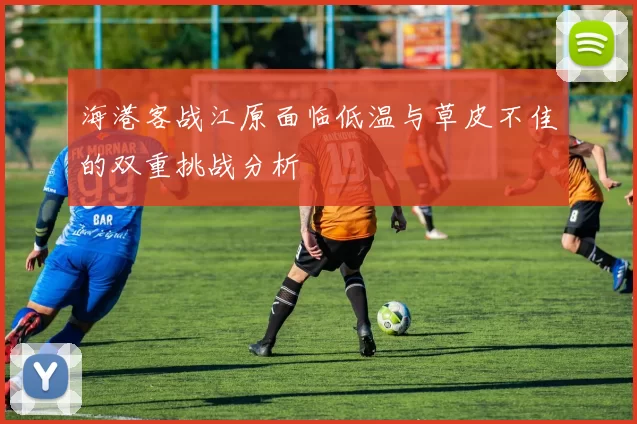 海港客战江原面临低温与草皮不佳的双重挑战分析