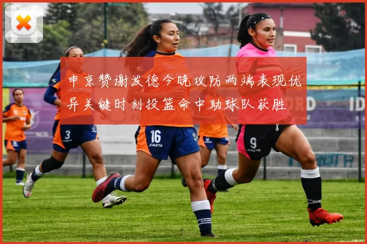 申京赞谢泼德今晚攻防两端表现优异关键时刻投篮命中助球队获胜