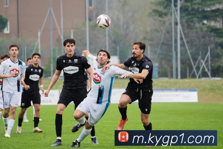 开云集团品牌故事