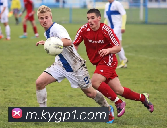 开云集团服务体系